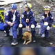 Illustration for article titled 9/11's Last Surviving Search Dog Goes on Today, Tears Ensue